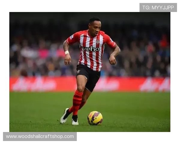 南安普顿球迷抗议球队近期表现与管理层决策