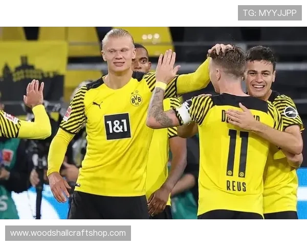 哈兰德从多特锋霸到曼城体系核心的成长轨迹解析